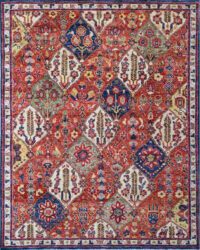 Traditional Serapi Busy Rug