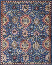 Traditional Serapi Butler Rug